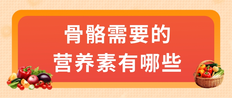 骨骼需要的營養素有哪些？